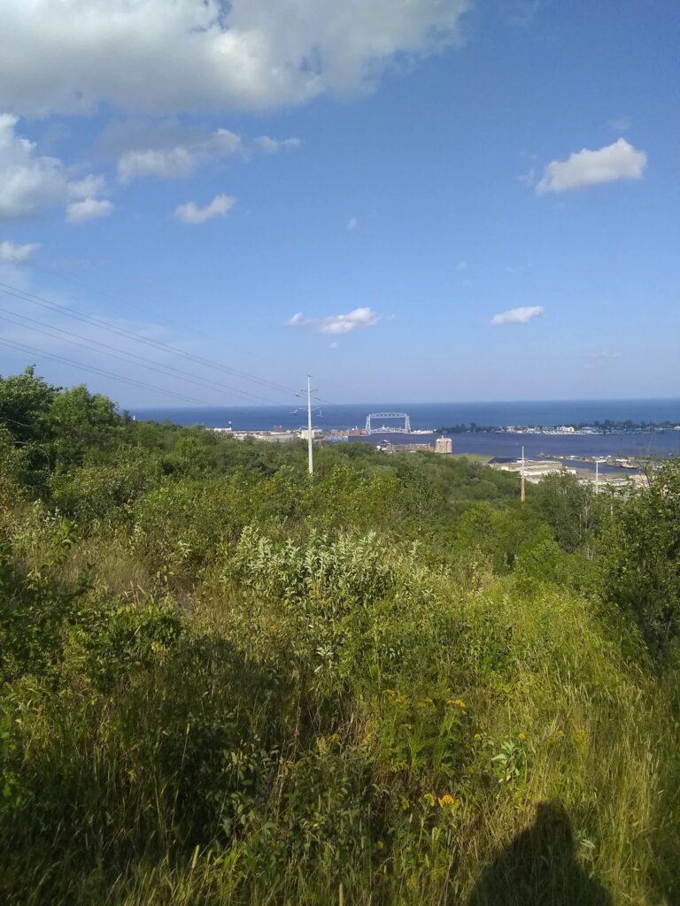 City greenspace almost filled with mountain bike trails