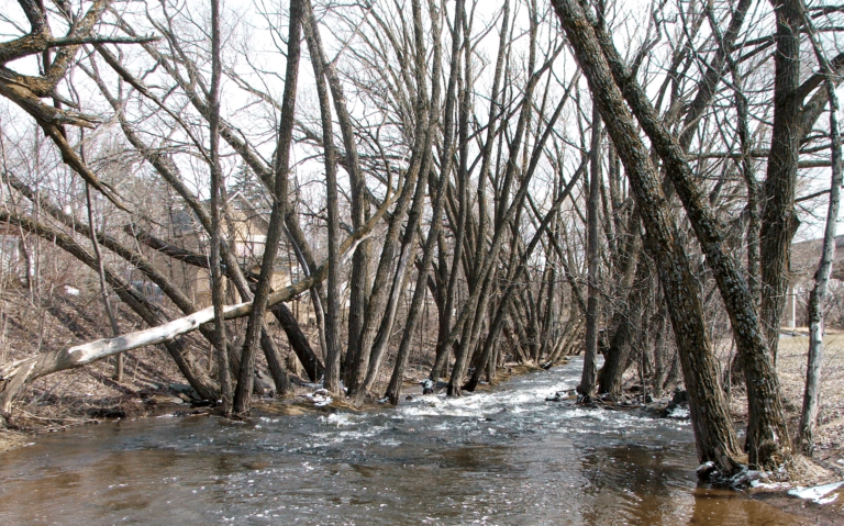 Keene Creek Park_02