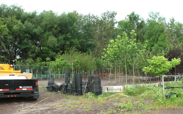 City of Duluth gravel tree storage beds