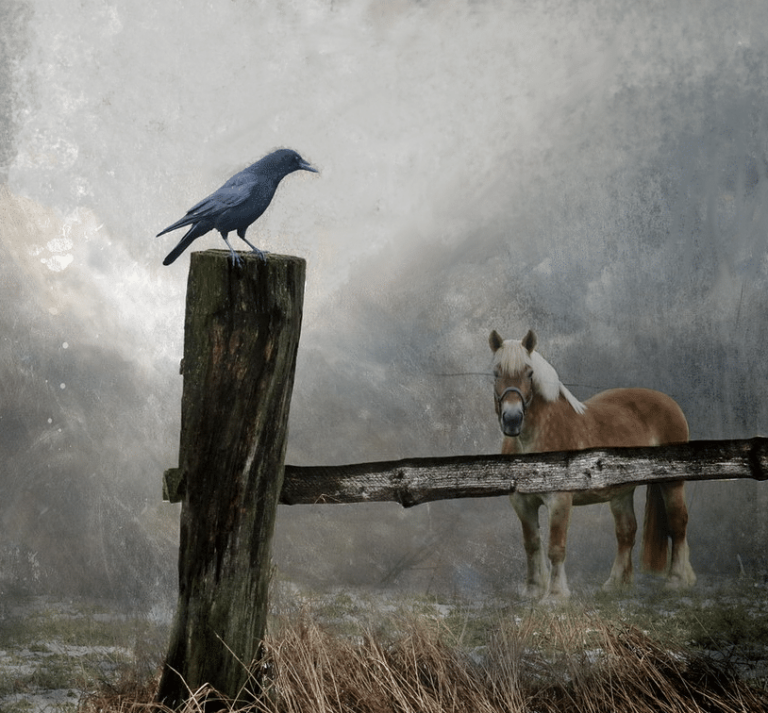 The Horse: An anagram of The Raven