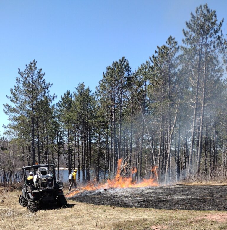 Fire crew conducts prescribed burns