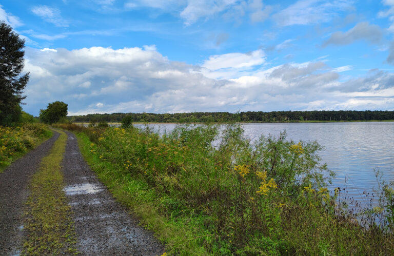 Bunge Dock access road, Sept. 2, 2025. Credit: John Ramos