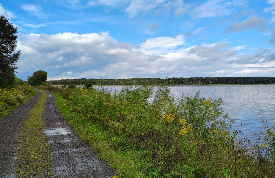 Bunge Dock access road, Sept. 2, 2025. Credit: John Ramos