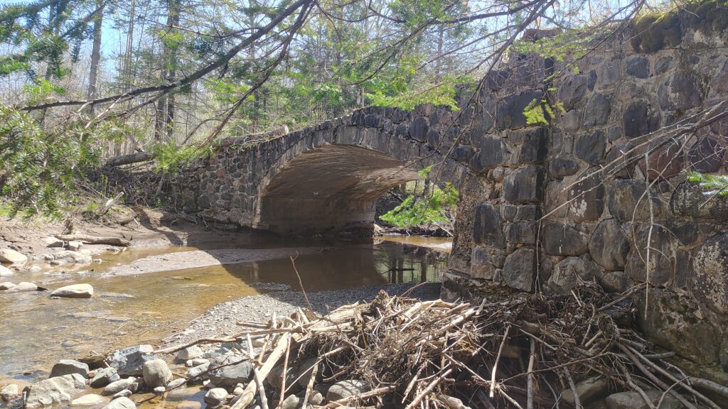 2026-05-15, Historical bridge, Frederick Rodney Paine Forest Preserve. Credit: John Ramos
