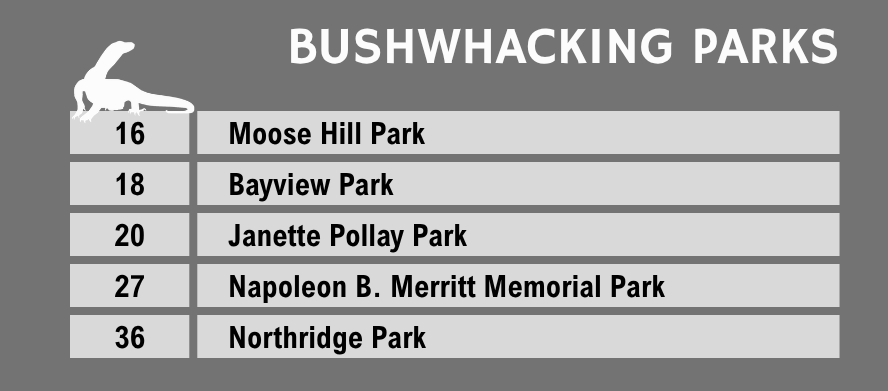 Bushwhacking parks.
