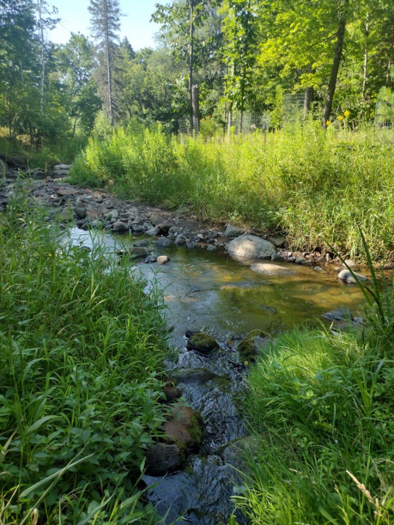 Vocal Natural Resources Commission requests information on Tischer Creek fish kill