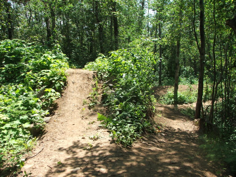 Video tour of new Quarry Park mountain bike trail