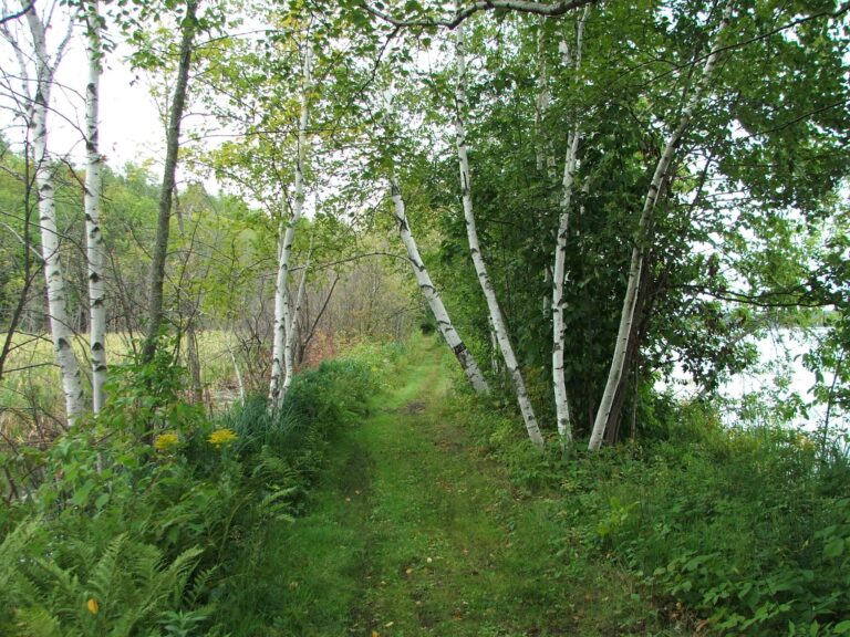 A walk on Segment Six
