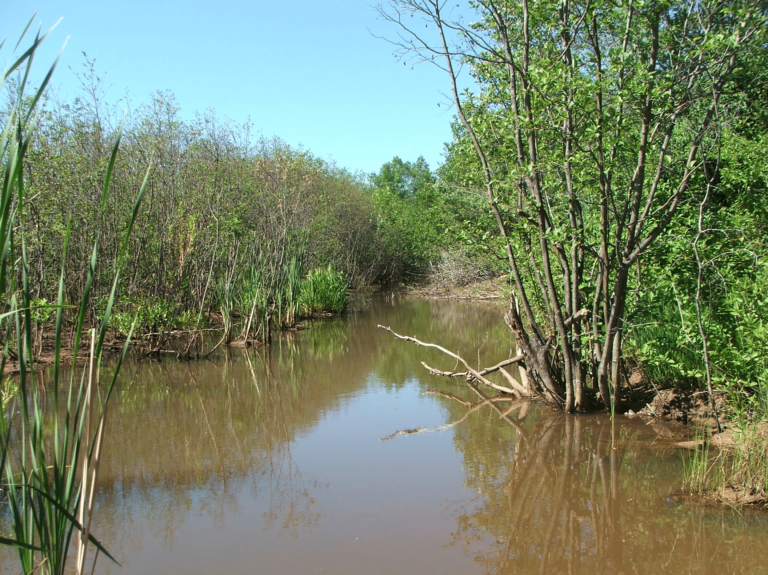 Dam neighbors causing problems in Twin Ports