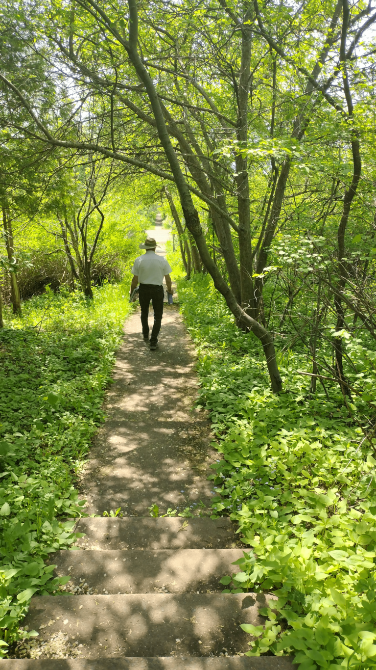 Incline Steps’ biggest supporter celebrates approval of interpretive sign project