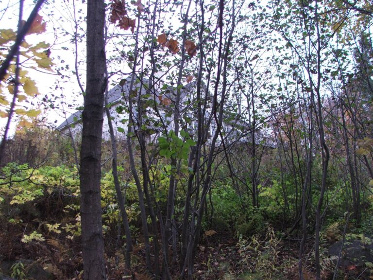 Bristolwood NIMBYs oppose Campus Connector Trail segment