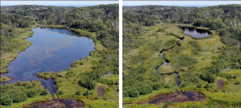 City moves forward with plan to drain Hartley Pond, restore Tischer Creek