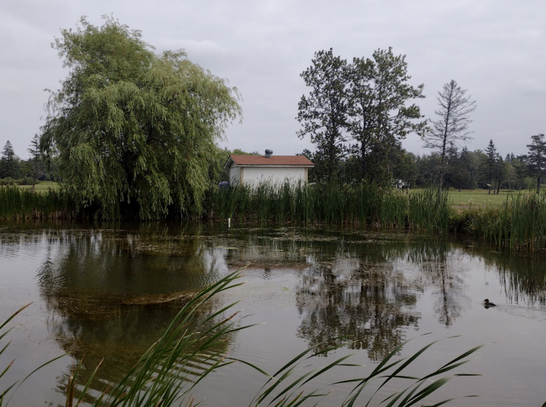 Nemadji Pumphouse