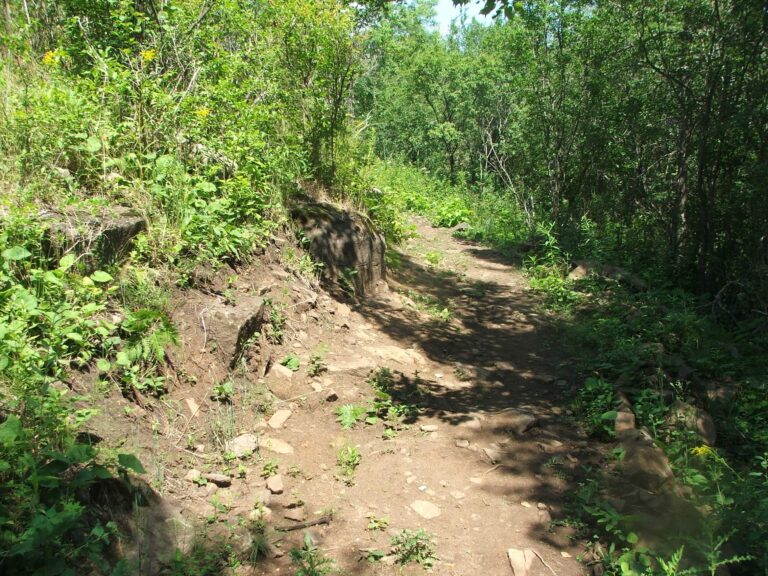 Are mountain bike trails sustainable?