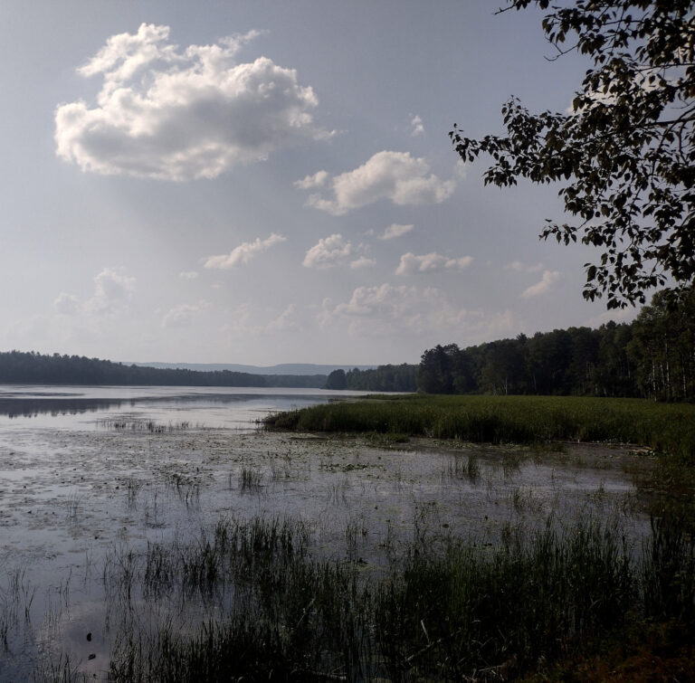 Pokegama Bay, Superior Municipal Forest, 2025-03-14. Credit: John Ramos
