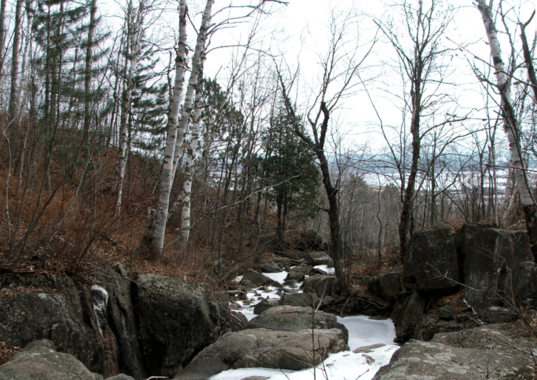 East Branch of Merritt Creek